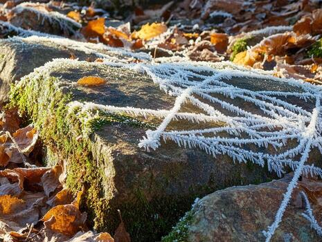 Delicate frost patterns form intricate designs on stones in a cool autumn garden during early morning light photo