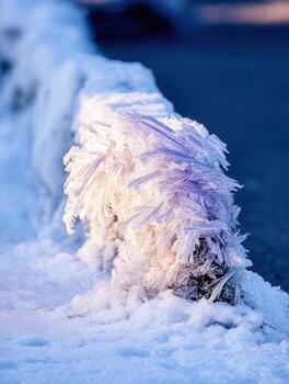Frost crystals create a stunning close-up display in a winter landscape illuminated by soft light photo