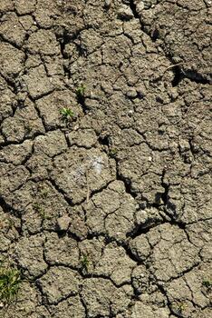 Parched soil texture showing summer drought patterns photo