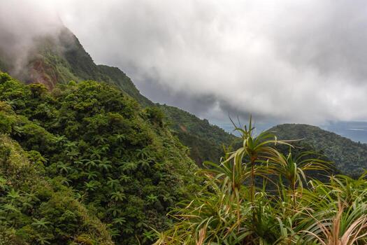 clouds over the mountain and jungle photo