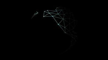 Esplorare un' digitale globo in mostra interconnesso reti e globale dati flusso video