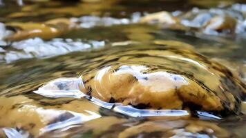 Detailed, low-angle perspective captures the dynamic movement of clear water cascading over smooth, wet river stones, with moss-covered rocks visible on the left. video