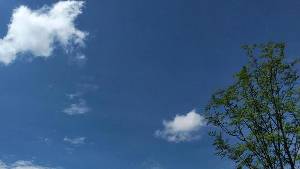 Bright blue sky with white clouds and green trees. photo