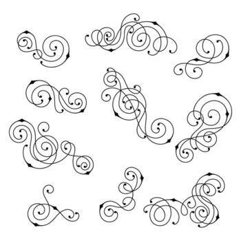 Set of line curl elements. Modern decorative linear vignettes. vector