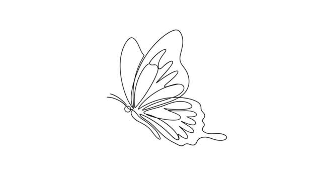 Elegant single-line drawing of a butterfly in flight against a clean white background, showcasing minimalist art and graceful insect design features. vector
