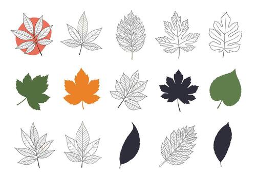 colección de texturizado y sólido otoño hoja ilustraciones con varios formas y colores. vector