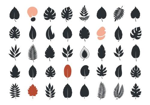 A curated collection of diverse leaf illustrations for design projects. vector