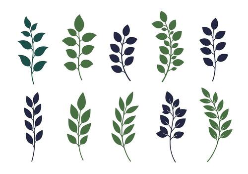 A collection of various botanical branches and leaves in complementary color schemes. vector