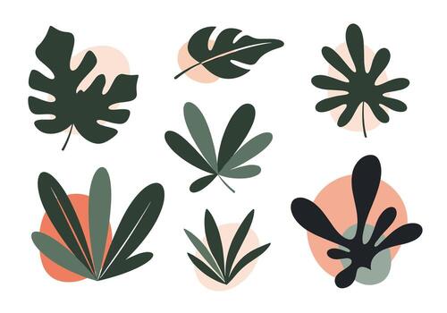 A collection of abstract organic leaf shapes and forms in a minimalist style. vector