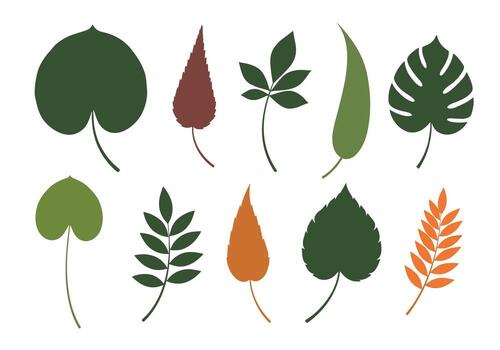 un diverso colección de botánico ilustraciones exhibiendo varios hoja formas y tamaños vector