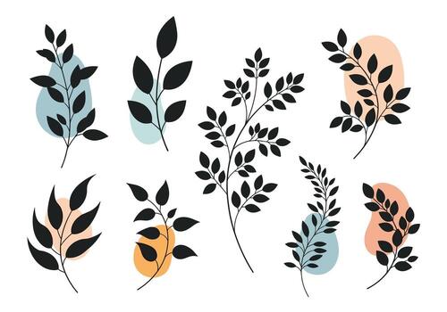 Abstract botanical illustrations featuring delicate branches with minimalist foliage and organic shapes. vector