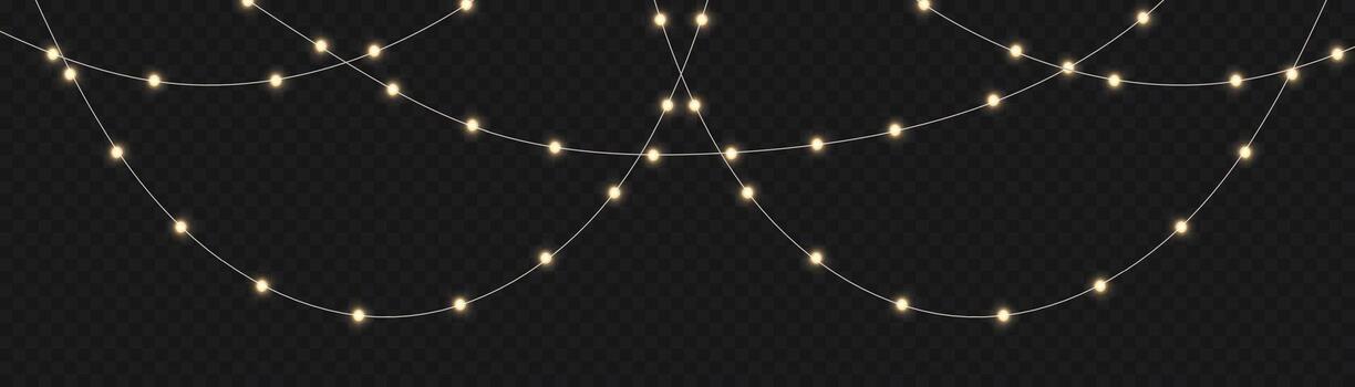 String lights on a dark background vector
