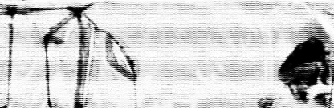 A horizontal background with a dirt and distressed effect, a halftone monochrome texture creating an antique atmosphere. vector