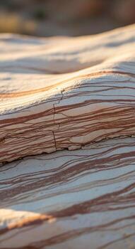 Close up abstract view of weathered wood grain with warm sunlight highlighting the textures and natural patterns photo