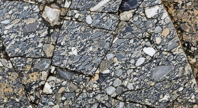A close up of a rock with many different types of rocks photo