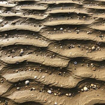 Intricate patterns of rippled sand and small pebbles create a textured natural abstract background with earthy tones and organic forms photo