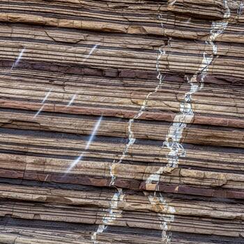 Close up view of a weathered rock formation showcasing distinct horizontal striations and thin branching mineral veins creating a natural abstract pattern photo