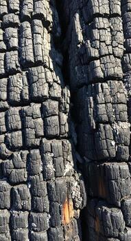 Close up view of deeply charred wood grain revealing intricate textures and patterns from a destructive fire event photo