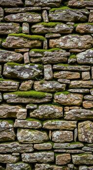 un resistido rústico Roca pared textura con parches de vibrante verde musgo y liquen agregando natural personaje foto