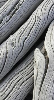 Close up view of weathered textured driftwood logs with intricate grain patterns and a muted gray color palette photo