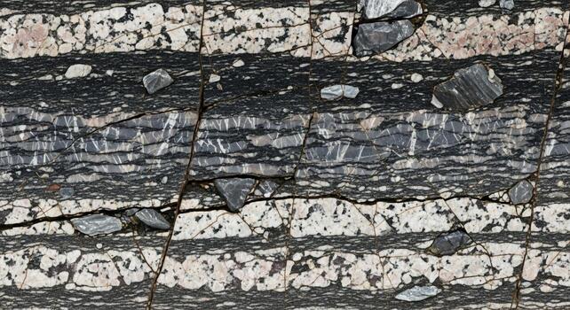 Close up view of layered sedimentary rock showing distinct bands of light and dark minerals with embedded pebbles and gravel photo