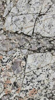 cerca arriba ver de un resistido granito rock cara con intrincado grietas y parches de liquen en varios terroso tonos foto