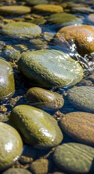 Smooth rounded river stones submerged beneath clear shallow water reflecting sunlight and creating a serene natural abstract pattern photo