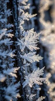 intrincado escarcha cristales delicadamente formar delicado plumoso patrones en un oscuro superficie reluciente con suave frio ligero foto