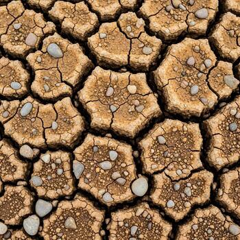 Close up view of cracked dry earth with small pebbles embedded in the hexagonal patterns of the parched ground photo