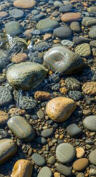 Smooth colorful river stones submerged in clear shallow water creating a natural textured mosaic pattern photo