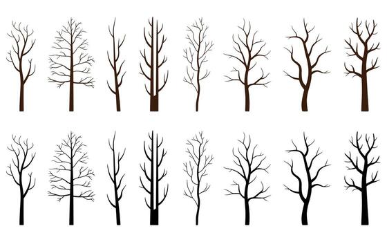 Silhouetted trees in stark winter with no leaves set against a white backdrop various shapes vector