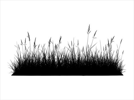 Silhouette of tall grass swaying gently in a field creating a peaceful and serene atmosphere perfect for adding a natural touch to designs vector