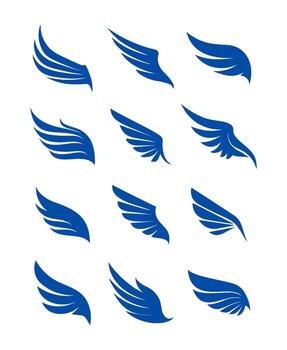 collection of abstract design wings icon set vector