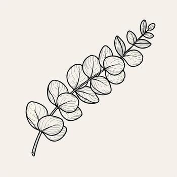 Elegant line art of a eucalyptus branch with delicate leaves on a light background vector