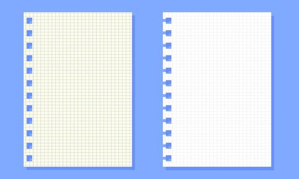 Set of Two Digital Notebook Pages with Grid and Lined Paper Textures vector