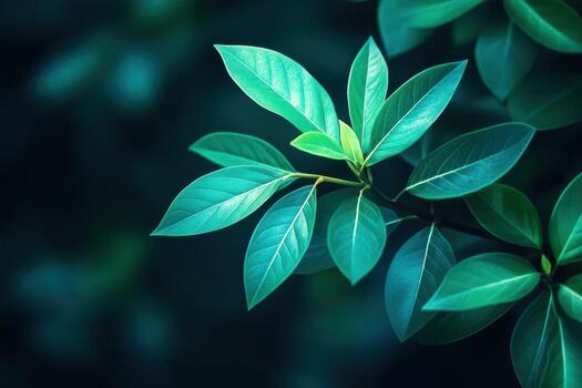 verde hojas brillante debajo suave ligero en naturaleza foto