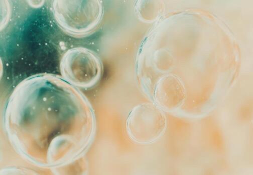 Bubbles floating gracefully in soft sunlight photo