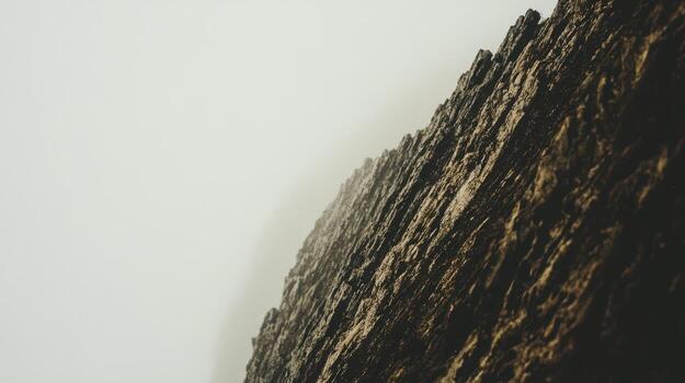 Close-up view of textured rock surface in natural light photo