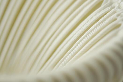Close look at spiral white rope in soft light photo