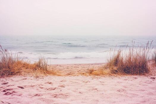 Sandy beach with tall grass and gentle waves at dawn photo