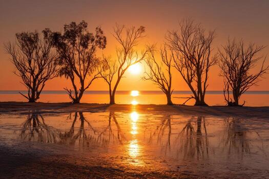 Sunset over the lake with silhouettes of trees photo