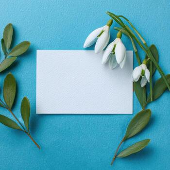 White snowdrop flowers and blank card on blue background photo