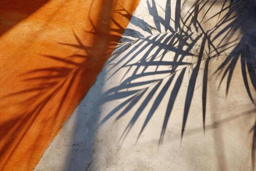 Palm shadows create beautiful patterns on a concrete floor photo