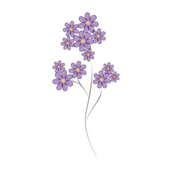 This is a simple watercolor illustration. The stem features multiple small, purple flowers with yellow centers, creating a delicate and artistic botanical design. vector