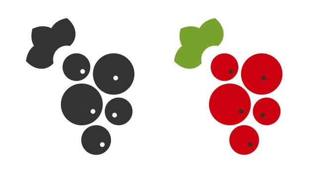Graphic representation of red currant fruits illustrated in a line icon style. Each fruit is distinctly designed with circles and leaves, highlighting their fresh appearance and simplicity. vector