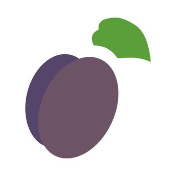 This graphic showcases simplified line icons of plums featuring a smooth, rounded shape and a green leaf. Ideal for fruit-themed projects or healthy food illustrations. vector