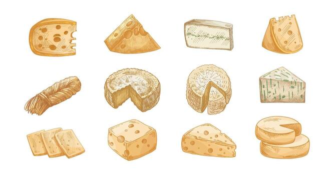 Hand drawn vintage sketch set of assorted cheese types including wedge, wheel, string, blue and sliced pieces in color and monochrome versions, detailed dairy food illustration, isolated vector
