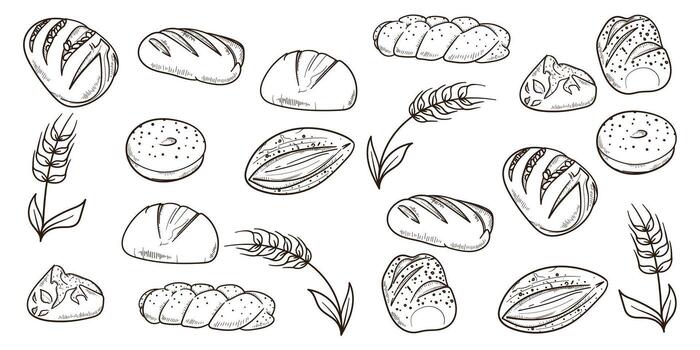 set of bread collection illustration in hand drawn design isolated on white background. bread background for bakery advertisement campaign vector
