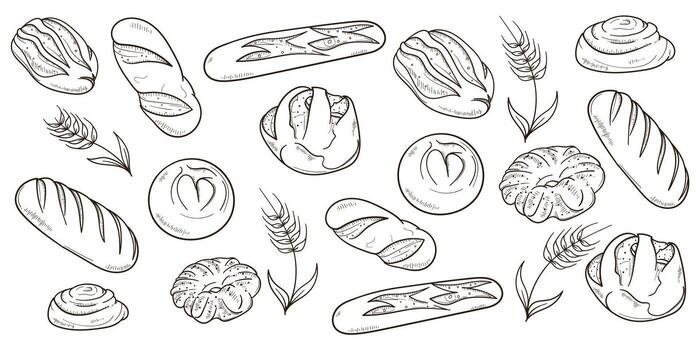 set collection of bread and wheat in hand drawn monochrome design isolated on white background. bread background template for bakery advertisement vector
