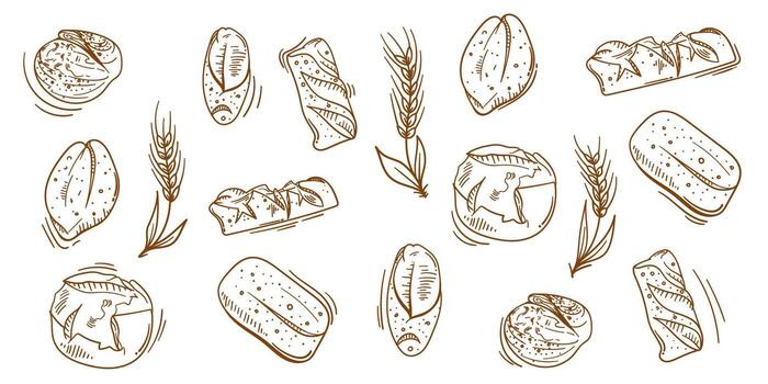 Bread background in doodle art design for bread shop advertisement template. bread collection isolated on white background vector
